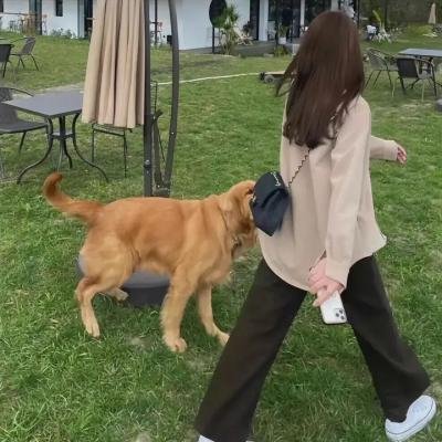 妲己不是坏狐狸 漫动画