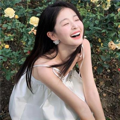 狗狗的疯狂假期